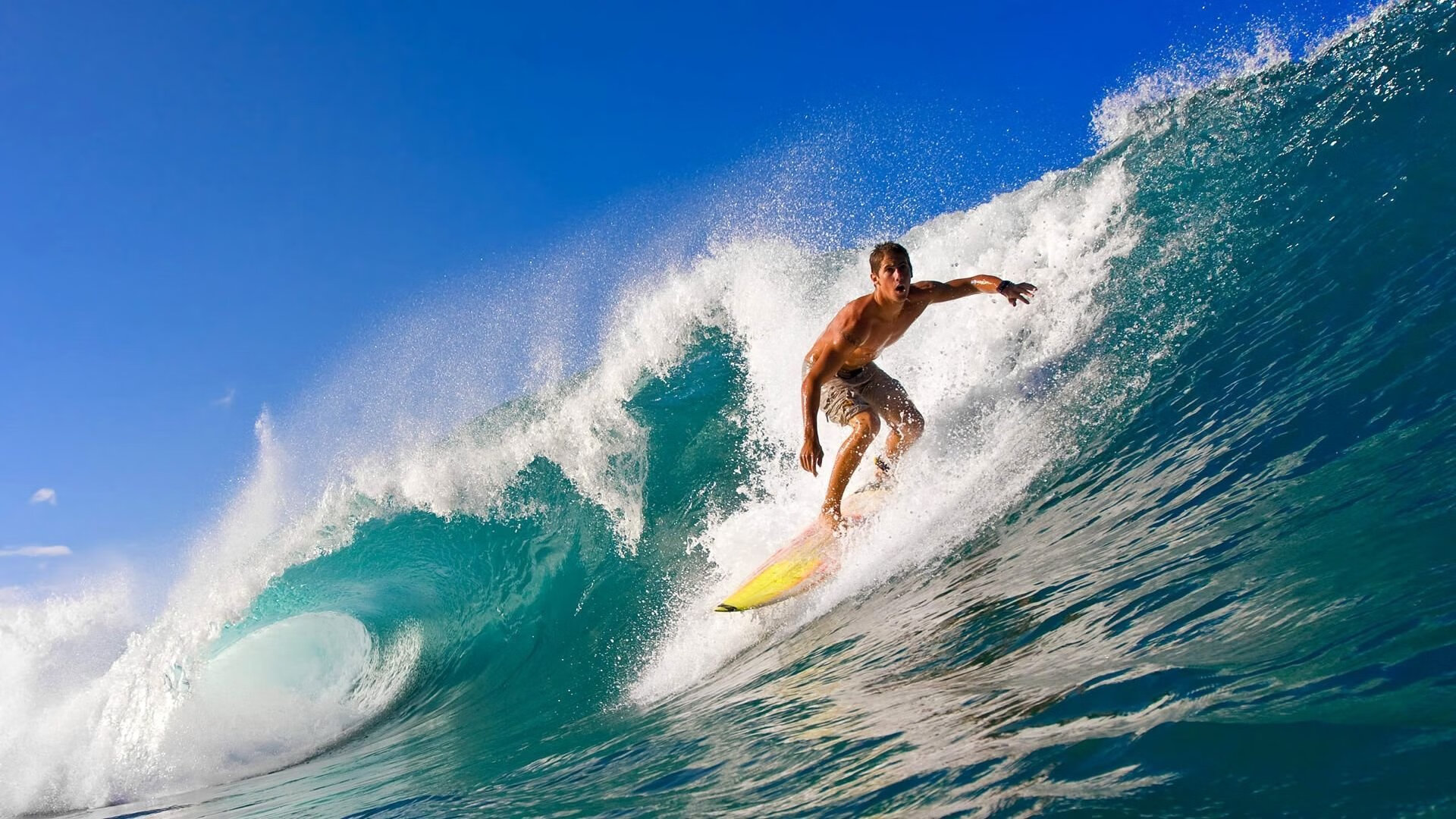 _未来虚拟体育馆：沉浸式运动体验_，未来虚拟乐园