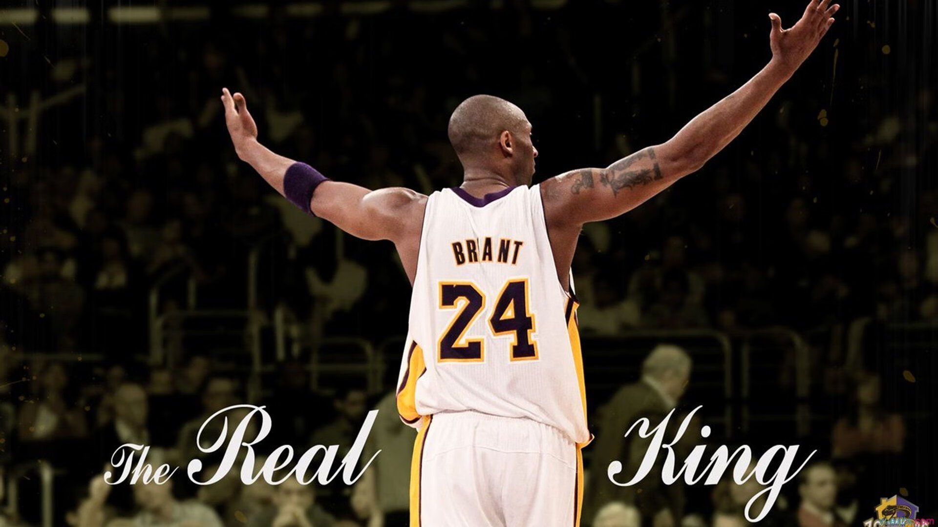 爱游互娱游戏官网-球队粉丝文化：从球迷应援到球迷聚会的演变，球迷聚集